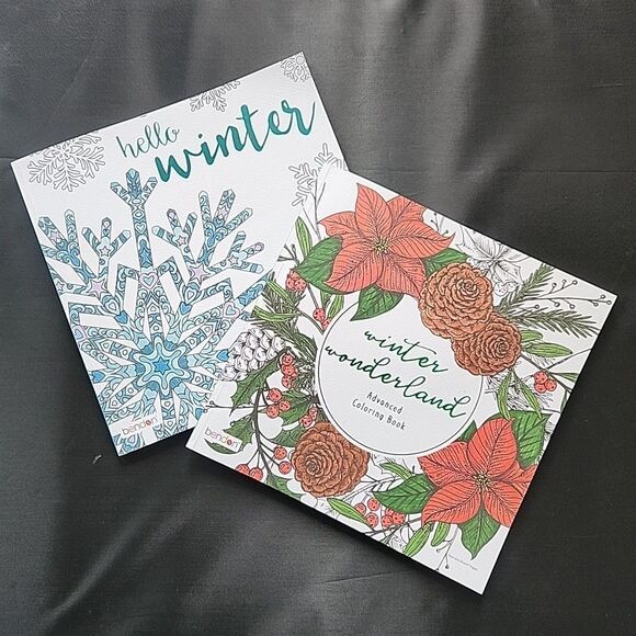 NEW Set 2 Adult Advanced Coloring Books Hello Winter Wonderland Elderly Senior - Picture 1 of 10